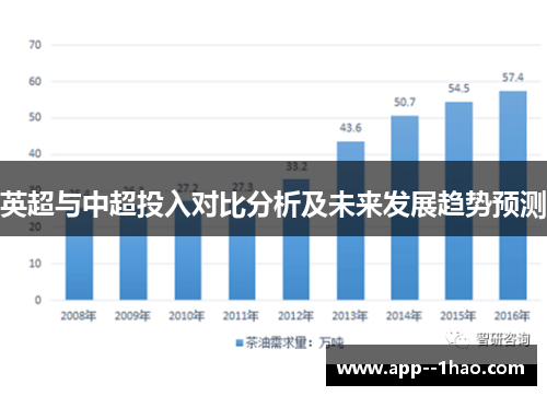 英超与中超投入对比分析及未来发展趋势预测