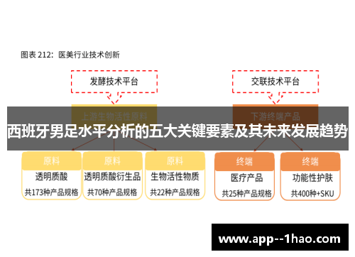 西班牙男足水平分析的五大关键要素及其未来发展趋势