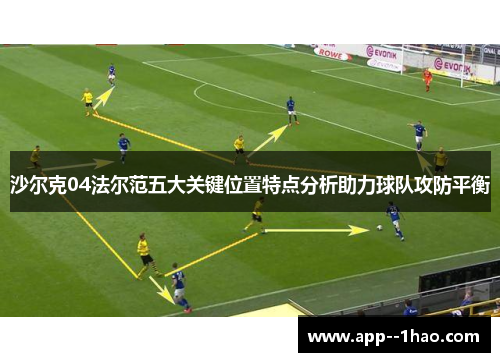 沙尔克04法尔范五大关键位置特点分析助力球队攻防平衡