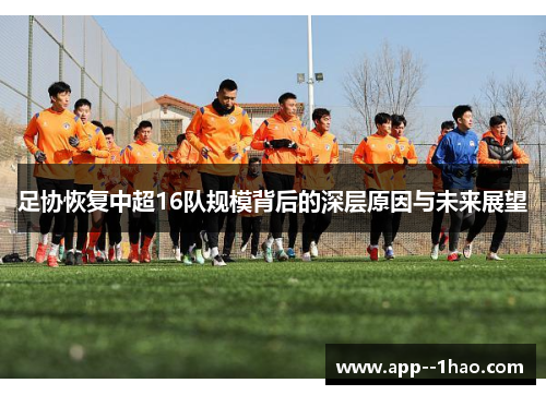 足协恢复中超16队规模背后的深层原因与未来展望 足协恢复中超16队规模背后的深层原因与未来展望